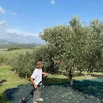 Sant'emilia פומרנצה